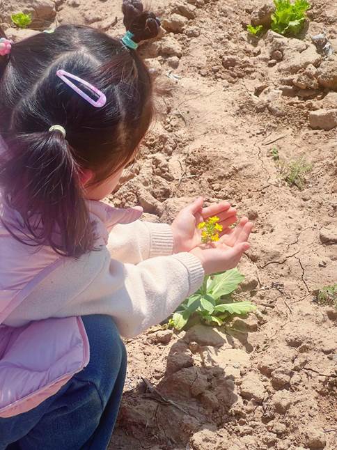 微信图片_20250324094748